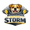 secondstorm